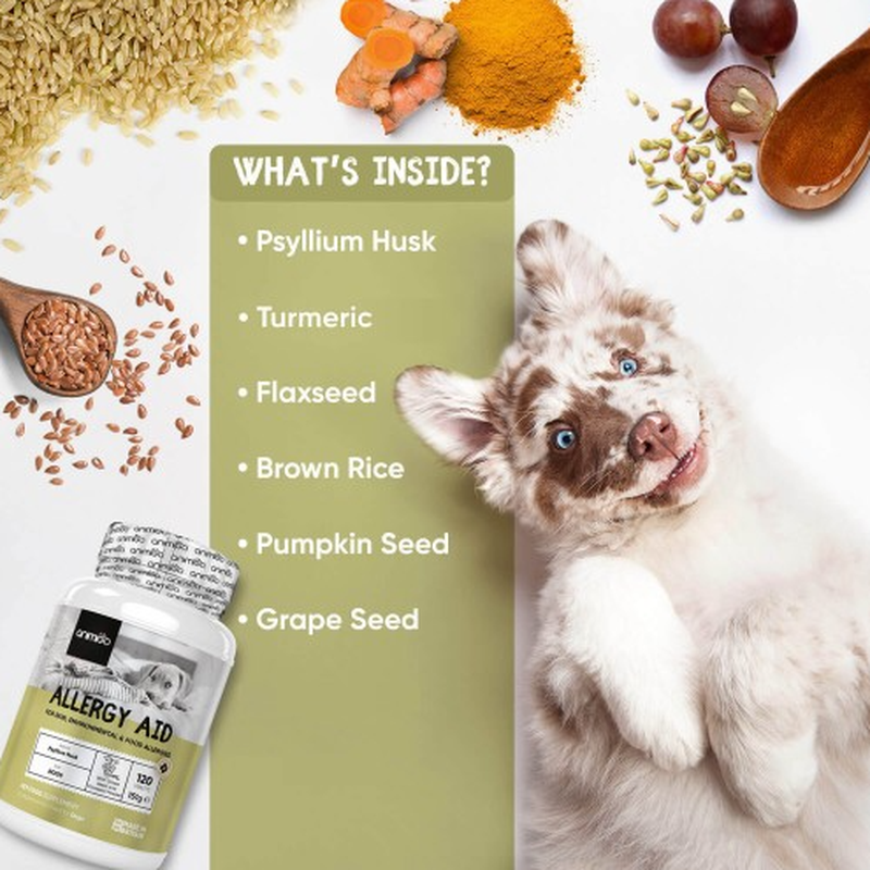 Grape Seed Extract Dose for Dogs Grape Seed Extract Dose for Dogs