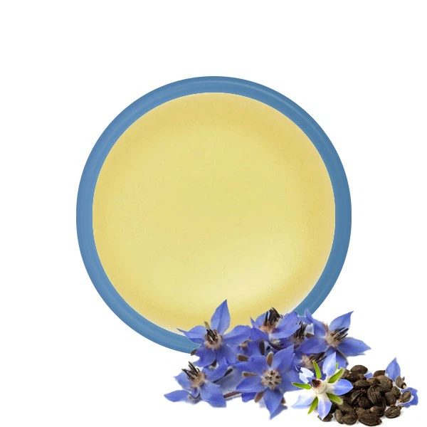 Borage Oil Price