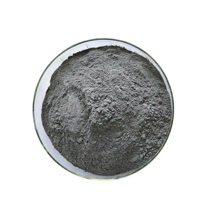 Yeast Cell Wall